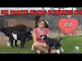 Download Lagu UPDATES FROM THE FARM