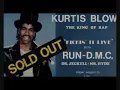 KURTIS BLOW - - IF I RULED THE WORLD