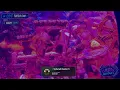 Live Turtle Cam Chaos Nugget The Perch Castle Landing Turtle Beach