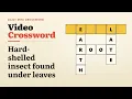 Can You Get Daily Mini Crossword In The Garden