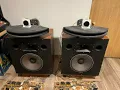 Scott s DIY 2 CYCLOPS Smith horn with JBL Charge Coupled crossover and epic rant