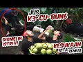 Download Lagu Jus K3-CU-BUN6..!!! Kesukaan kita semua..