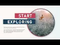 Travel Agency Marketing Powerpoint Animation Template Slideshow