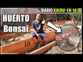 Download Lagu Respondiendo preguntas sobre el huerto de Bonsai - Diario Kaeru-En 蛙園 - 8/9/25