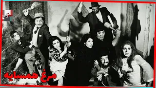 فیلم قدیمی مرغ همسایه 1353 شورانگیز طباطبایی و علی میری نسخه کامل و کمیاب 