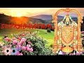 Lagu Venketeshwara Suprabhatam ..... Original Temple Darshan Tirupati Balaji.....#tirupati #tirumala