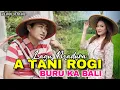Lagu LAGU MADURA TERBARU/A TANI ROGI BURU KA BALI/DEVAN OFFICIAL