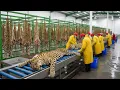 Lagu Inside the Leopard Leather Factory–Million-Dollar Products Are Made from Leopard Skin (Full Process)
