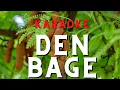 Download Lagu Lagu Sumbawa Den Bage Karaoke