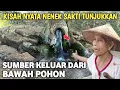 Download Lagu Merinding !! Nenek Sakti Tunjukkan Sumber Air Keluar Dari Pohon Sejak Jaman Majapahit