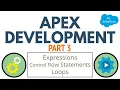 Apex Development Guide Expressions Control Flow Statements Loops Part 3