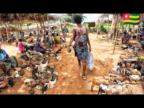 Download MP3 Rural  village market day in Zafi Togo west Africa. Cost of living in an African village 🇹🇬