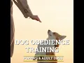 Expertise Top 14 Dog Walking Services In San Mateo