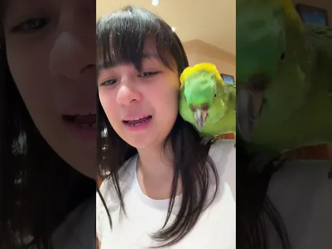 Sasha disuruh pulang malah nyanyi konser mini 🎤✨💖
