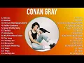 Conan Gray 2025 MIX Best Songs - Maniac, Heather, The Cut That Always Bleeds, Vodka Cranberry