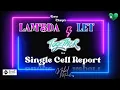 LAMBDA and LET for a Robust Single Cell Report - Advanced Excel