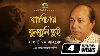 bagichay bulbuli tui salauddin ahmed chittogeet official lyrical video