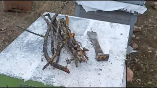 طريقة تضيق بوابة خلية النحل و أسرارها مناحل جيلالي البيضاوي 