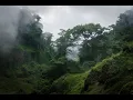 congo original mix