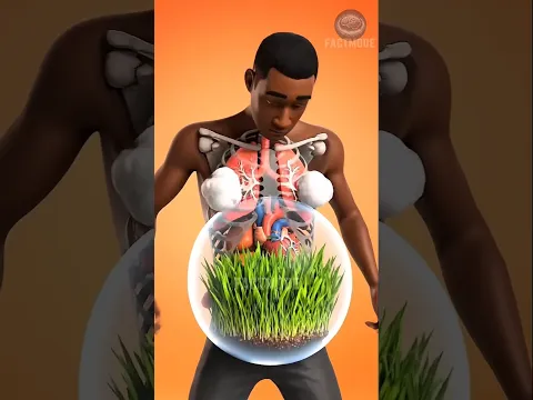 What Happens If We Eat Grass? 😱 #shorts