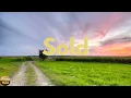 John Michael Montgomery - Sold (The Grundy County Auction Incident) (Lyrics)