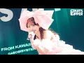 Lagu 【カバー】23歳になった櫻井優衣「初恋サイダー」Live at Spotify O-WEST(2023.2.21)【FRUITS ZIPPER】