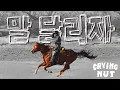Lagu 크라잉넛 (Crying Nut) - 말 달리자 (Speed Up Losers!) [한글/영어자막 (Stage Mix/무대교차편집)] Korea Punk Rock
