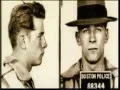 Paddy Whacked The Saga Of The Irish Mafia