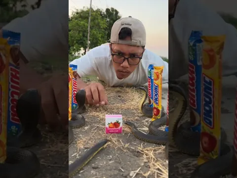 Fall snake !! sharing strawberry candy with ants #shorts
