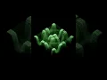 2d rotation scan processing patch