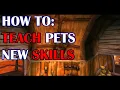 How To Learn New Skills for Hunter Pets