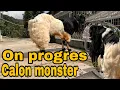 Download Lagu ON PROGRES ‼️GACO DAN MASKOT MASA DEPAN