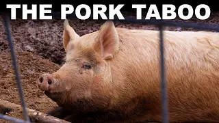 Download Why billions of people won't eat pork (or why we don't know) MP3