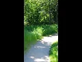 Max Rabe Fahrrad fahren