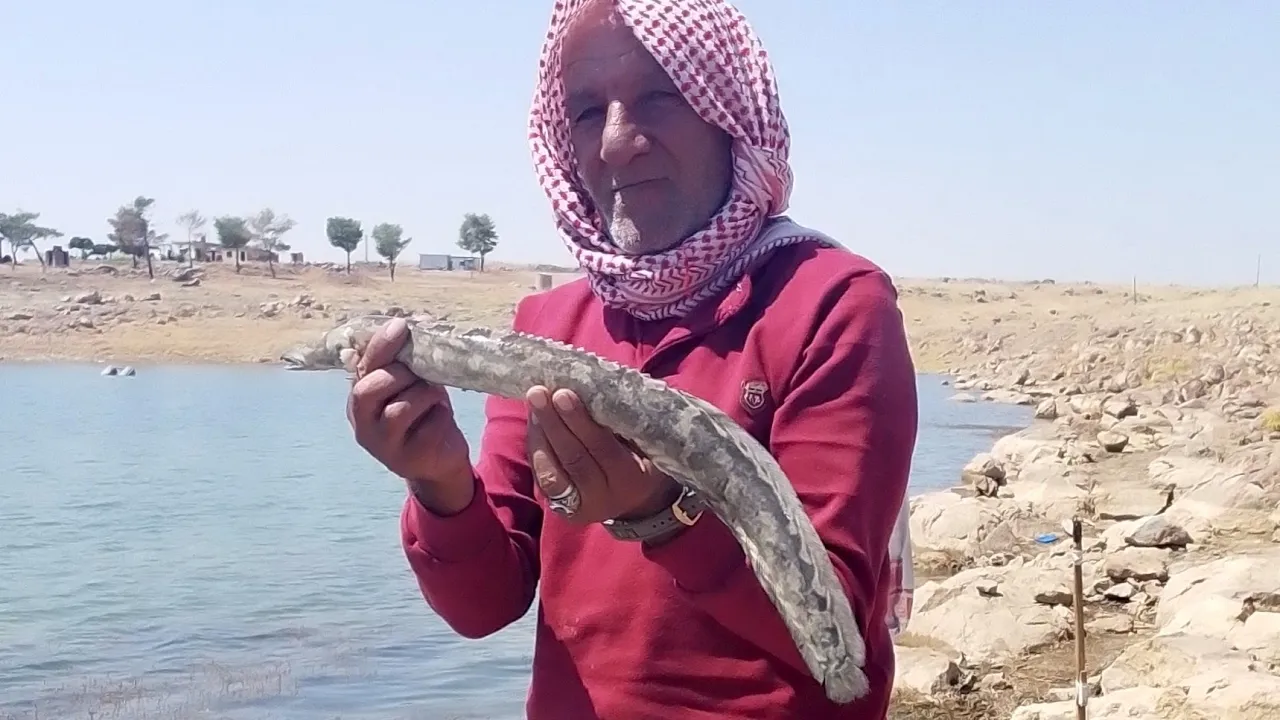 طريقة صيد سلور#قصص#قامشلي#سمك#سمسم_شهاب