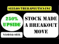 Seelos Therapeutics Inc Stock made a breakout move - seel stock