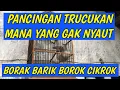 Download Lagu trucukan mana yang gak nyaut dan ikut tarung dengan trucukan Garuda ini