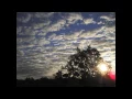Laraaji – Being Here (Flow Goes the Universe)