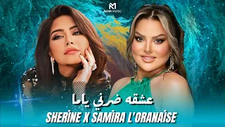                                                     انت آخر واحد                راي شرقي        دندنها