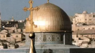 أنا لا انساك فلسطين 