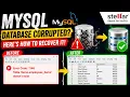 How to Repair a Corrupted MySQL Database Recover Data Stellar Repair for MySQL