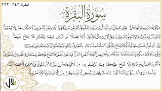 المصحف المرتل   سورة البقرة من الآية           دندنها