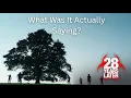 Download Lagu 28 Years Later: A Britlib Fever Dream
