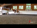 Dr Cesar Parra Dressage Training