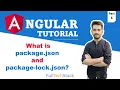 Understanding package json and package-lock json - Angular 16 Tutorial Part 6
