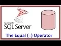 SQL Server - Query Table Record Data via TSQL
