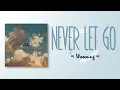 Download Lagu Woosung – Never Let Go [RomIEng Lyric]