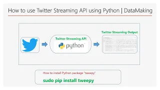 How to use Twitter Streaming API using Python Hands-On Part 5 DM DataMaking Data Making