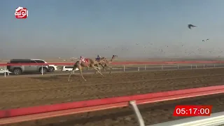 الشوط 8 مسعف لـ سيف سالم بن حمد الدرعي 7 58 34 شارة الديوان 2025 03 14 لقايا الوقن 