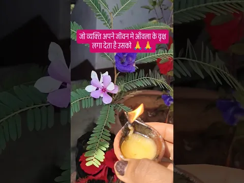 जो व्यक्ति आँवला का अपने जीवन मे लगता है वो 🙏#motivational #trendingshorts #viralvideo #shortvideo